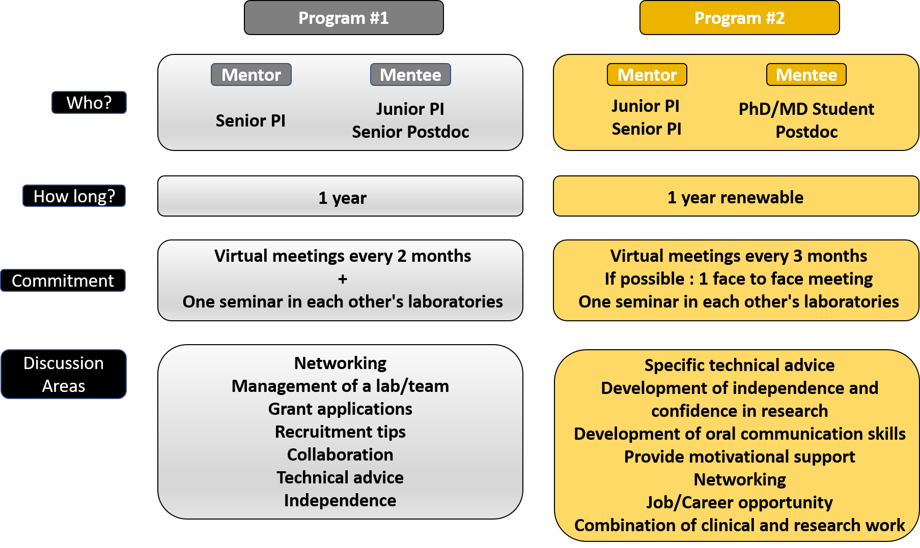 Mentorship Program Esbra